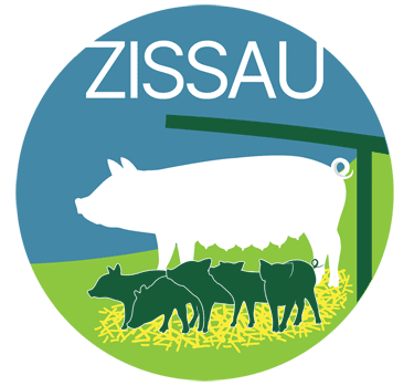 ZISSAU Logo